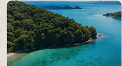 Native forest meeting a clear turquoise coastline